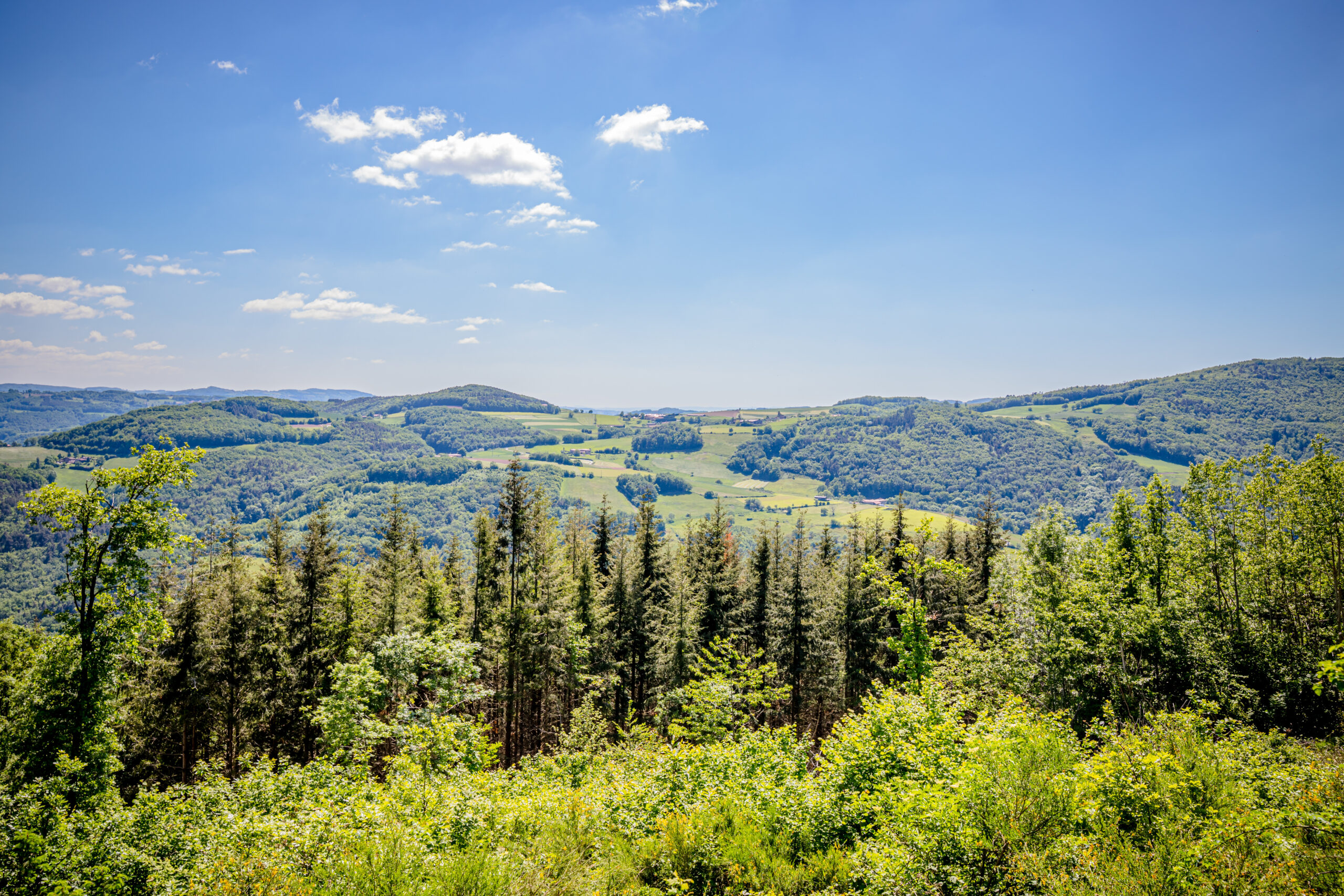 Randonnée dans les monts du Lyonnais