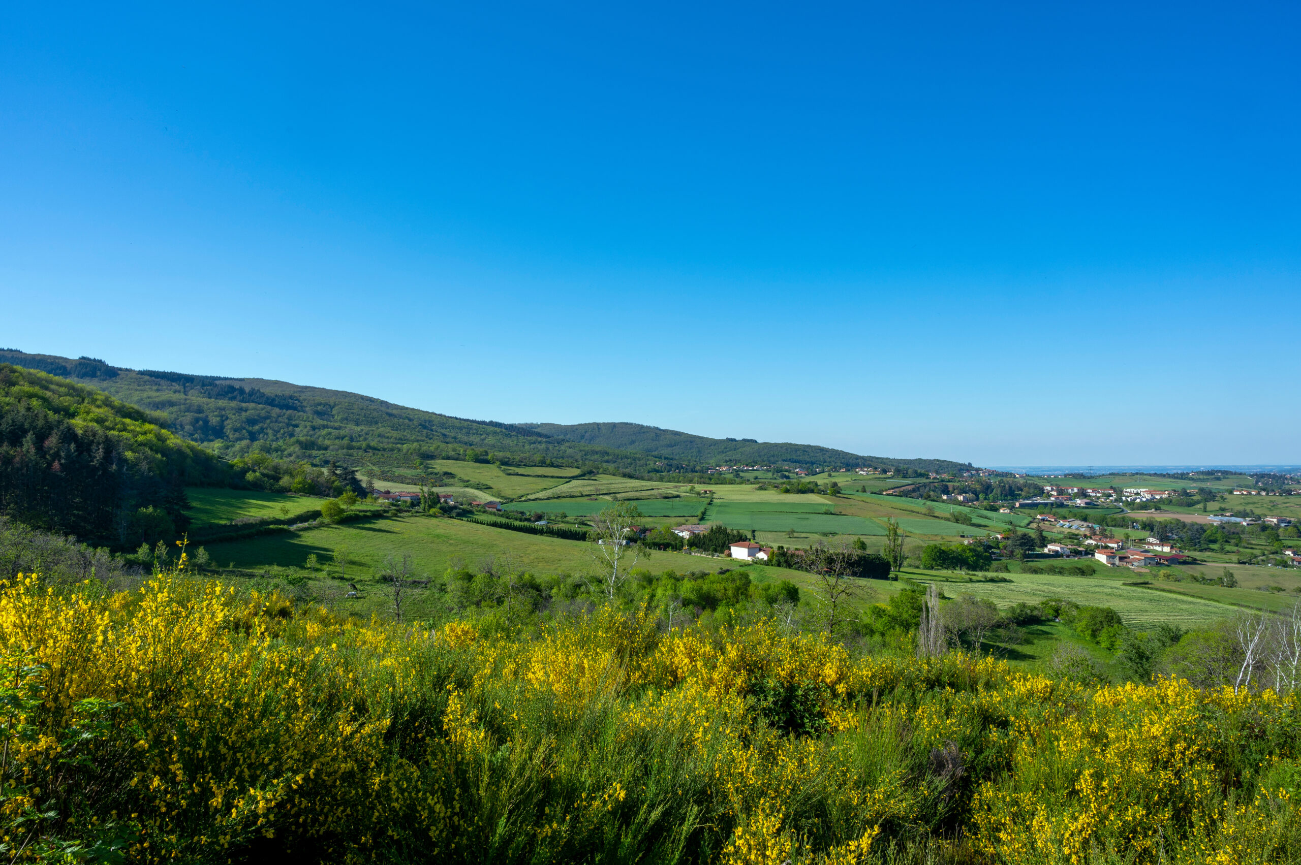 Paysage des Monts du Lyonnais au printemps vers le col de La Luere